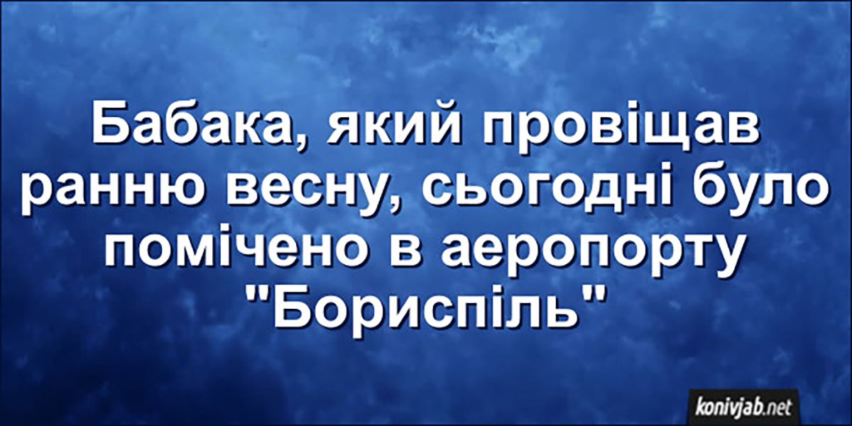 Этот пушистый синоптик знает все - подборка мемов про сурка - 682640 Этот пушистый синоптик знает все - подборка мемов про сурка - фото 682640