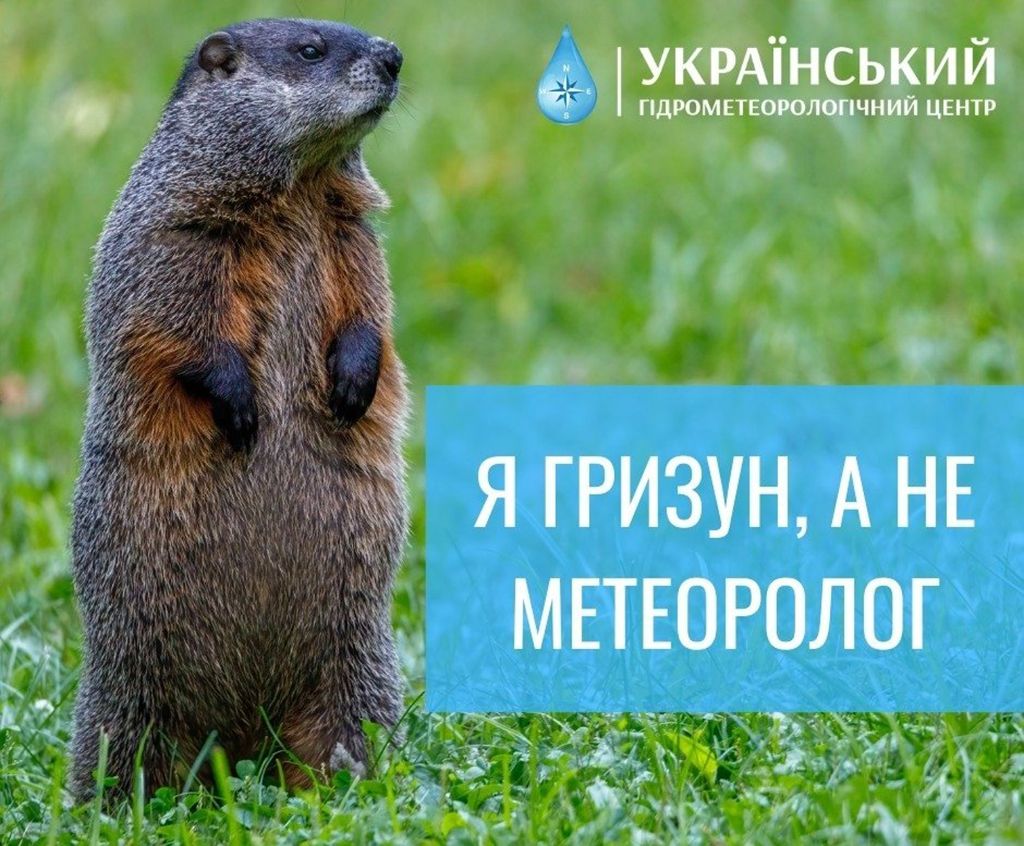 Этот пушистый синоптик знает все - подборка мемов про сурка - 682641 Этот пушистый синоптик знает все - подборка мемов про сурка - фото 682641
