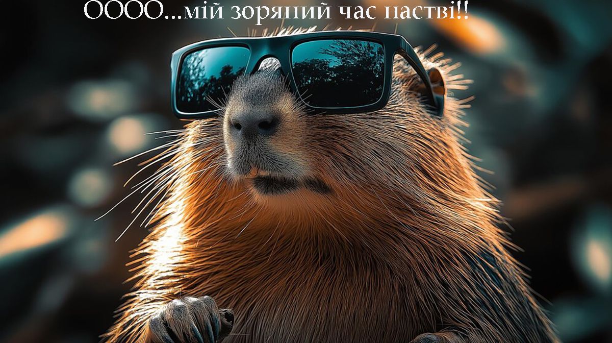 Этот пушистый синоптик знает все - подборка мемов про сурка - 682647 Этот пушистый синоптик знает все - подборка мемов про сурка - фото 682647