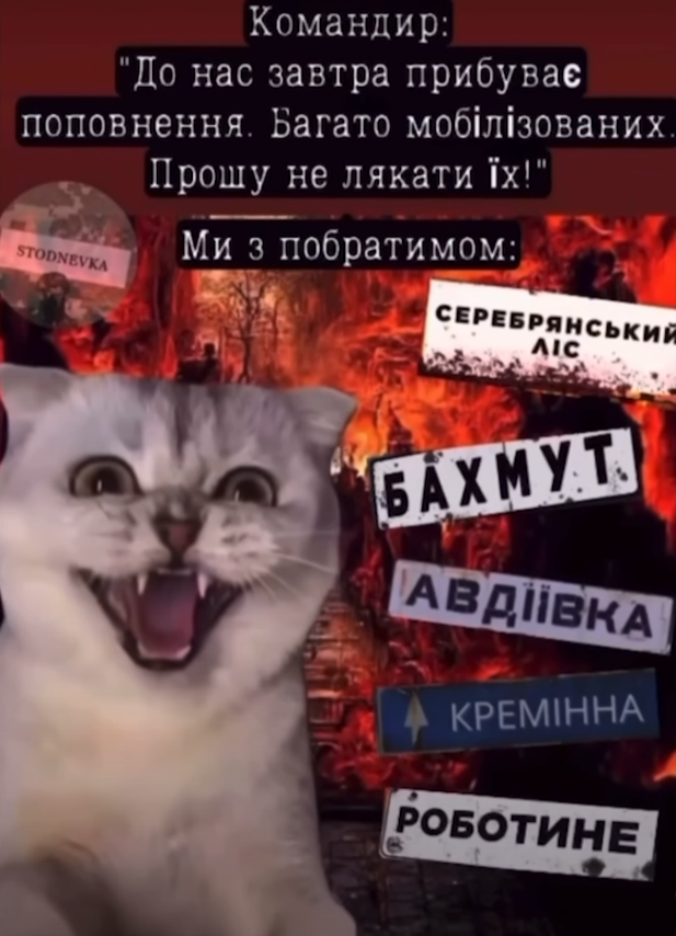 Виктор Розовый заценил эти мемы о военных и службе в армии - фото 682698