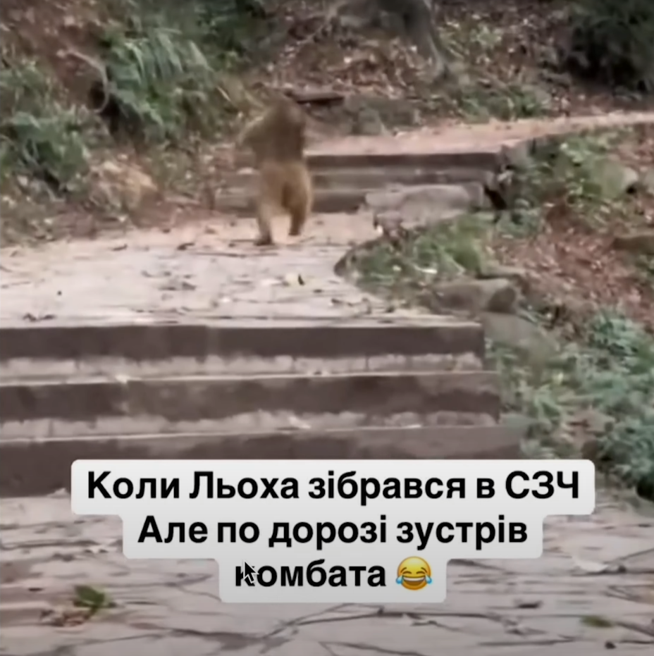 Виктор Розовый заценил эти мемы о военных и службе в армии - фото 682701