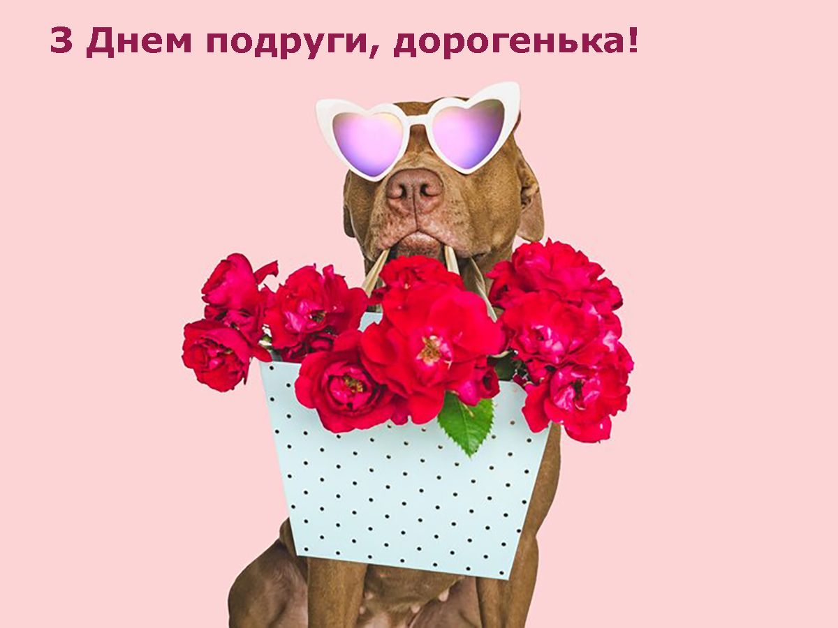 Классный День подруги 2025 - смешные и креативные поздравления, от которых подруга будет в восторге - 685326 Классный День подруги 2025 - смешные и креативные поздравления, от которых подруга будет в восторге - фото 685326