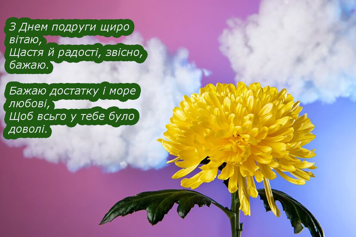 Классный День подруги 2025 - смешные и креативные поздравления, от которых подруга будет в восторге - 685328 Классный День подруги 2025 - смешные и креативные поздравления, от которых подруга будет в восторге - фото 685328