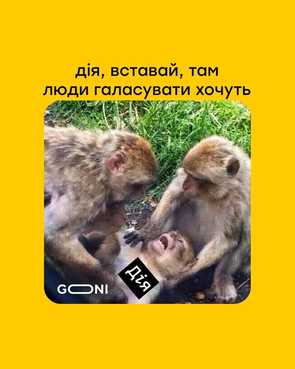 Меми про Нацвідбір на Євробачення-2025 в Україні — українці реагують з гумором - 685683 Меми про Нацвідбір на Євробачення-2025 в Україні — українці реагують з гумором - фото 685683