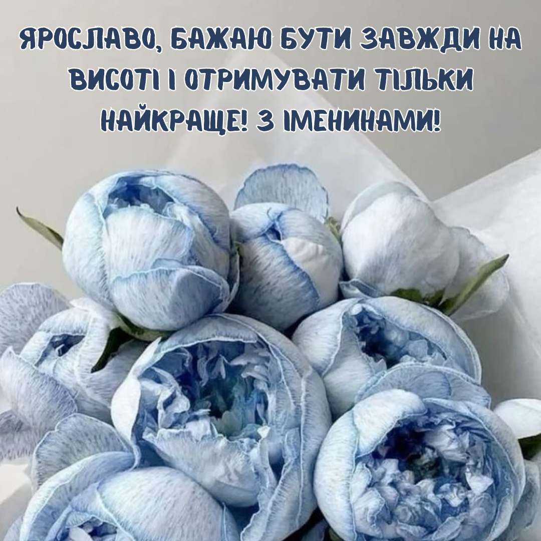 Картинки с именинами Ярославы и неповторимые поздравления для нее - 687463 Картинки с именинами Ярославы и неповторимые поздравления для нее - фото 687463