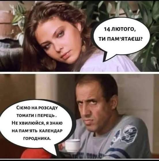 Мемы про День Валентина и смешные валентинки, чтобы отправить 'тому самому' человеку - 687683 Мемы про День Валентина и смешные валентинки, чтобы отправить 'тому самому' человеку - фото 687683