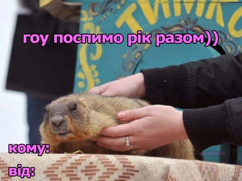 Мемы про День Валентина и смешные валентинки, чтобы отправить 'тому самому' человеку - 687689 Мемы про День Валентина и смешные валентинки, чтобы отправить 'тому самому' человеку - фото 687689
