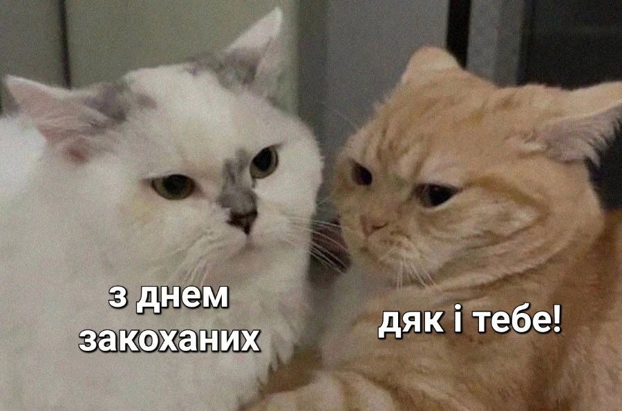 Меми про День Валентина і смішні валентинки, щоб надіслати 'тій самій' людині - 687713 Меми про День Валентина і смішні валентинки, щоб надіслати 'тій самій' людині - фото 687713