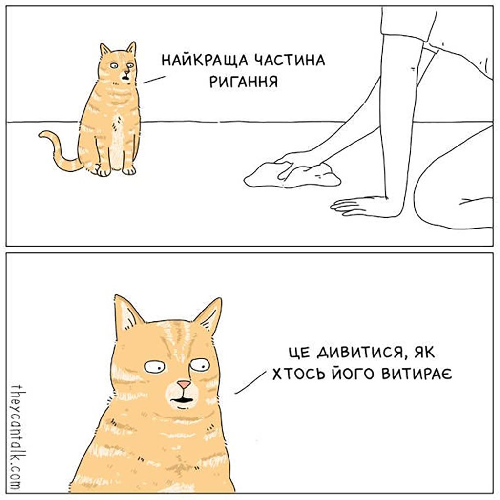 Мемы с котами, которые заставят тебя забыть обо всем - 688519 Мемы с котами, которые заставят тебя забыть обо всем - фото 688519