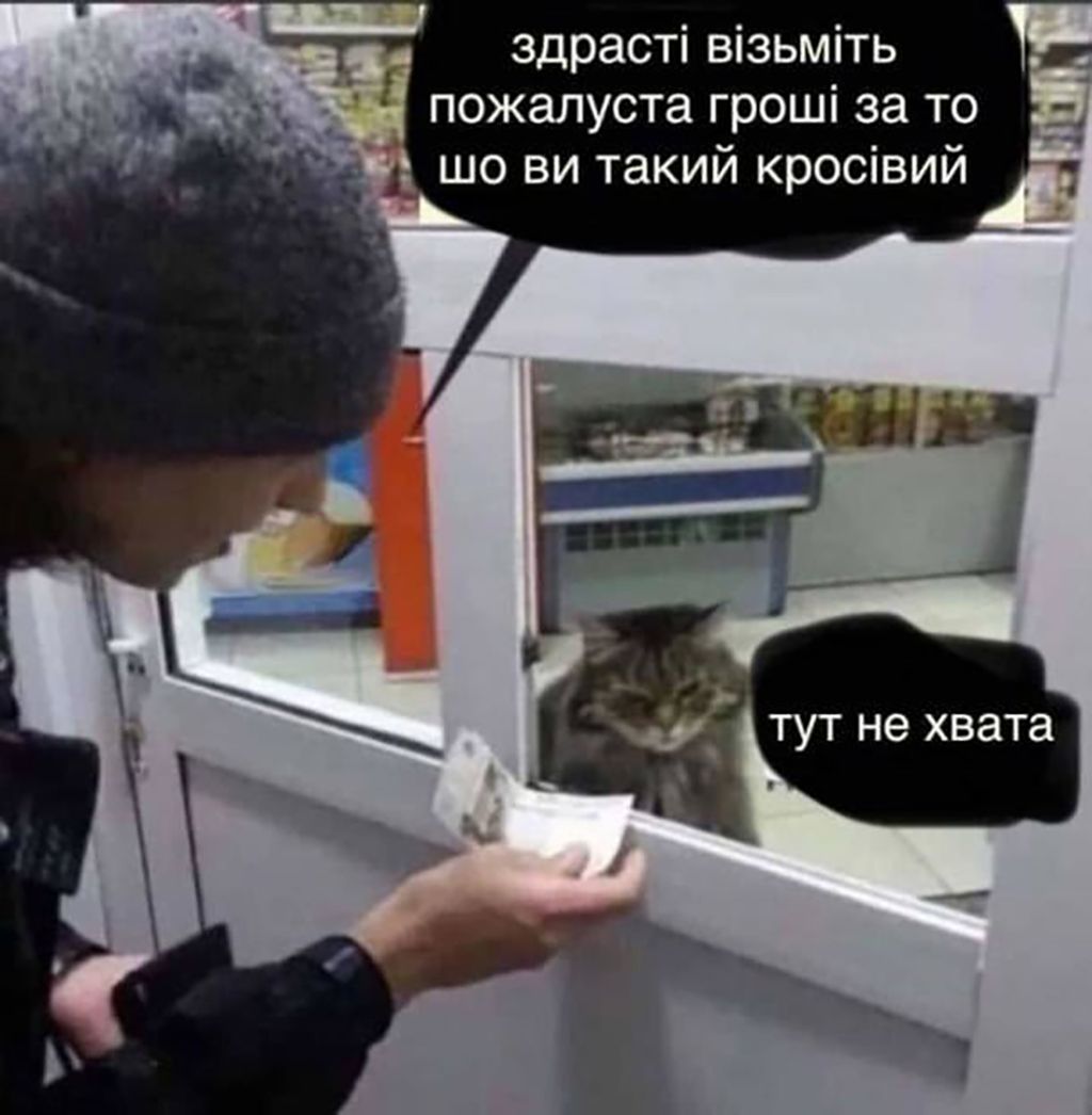 Мемы с котами, которые заставят тебя забыть обо всем - 688525 Мемы с котами, которые заставят тебя забыть обо всем - фото 688525