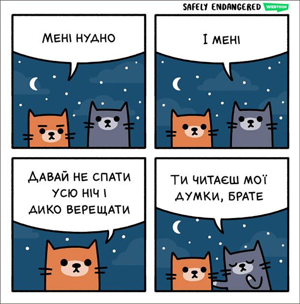 Мемы с котами, которые заставят тебя забыть обо всем - 688532 Мемы с котами, которые заставят тебя забыть обо всем - фото 688532