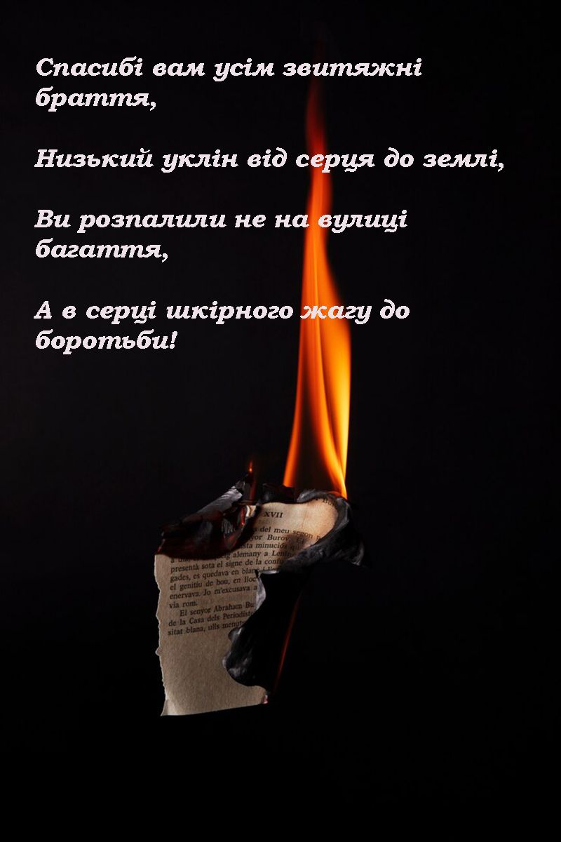день пам'яті героїв України - Небесна Сотня - фото 688984