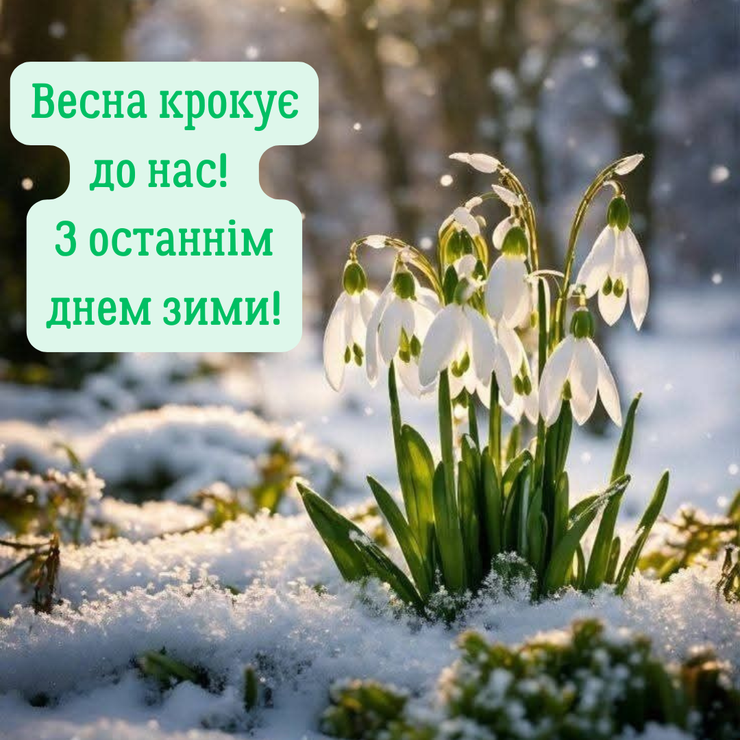 Прощай, зима: вдохновенные поздравления с последним зимним днем и теплые открытки - 689282 Прощай, зима: вдохновенные поздравления с последним зимним днем и теплые открытки - фото 689282