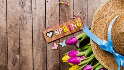 20 теплих фільмів з весняним вайбом, які проженуть зимову тугу