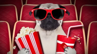 Что понравится Козерогам, а от какого фильма будут кайфовать Скорпионы - подборка фильмов на выходные