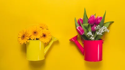 Поздравления с Первым днем весны 2025 - милые открытки и прикольная проза для весеннего настроения