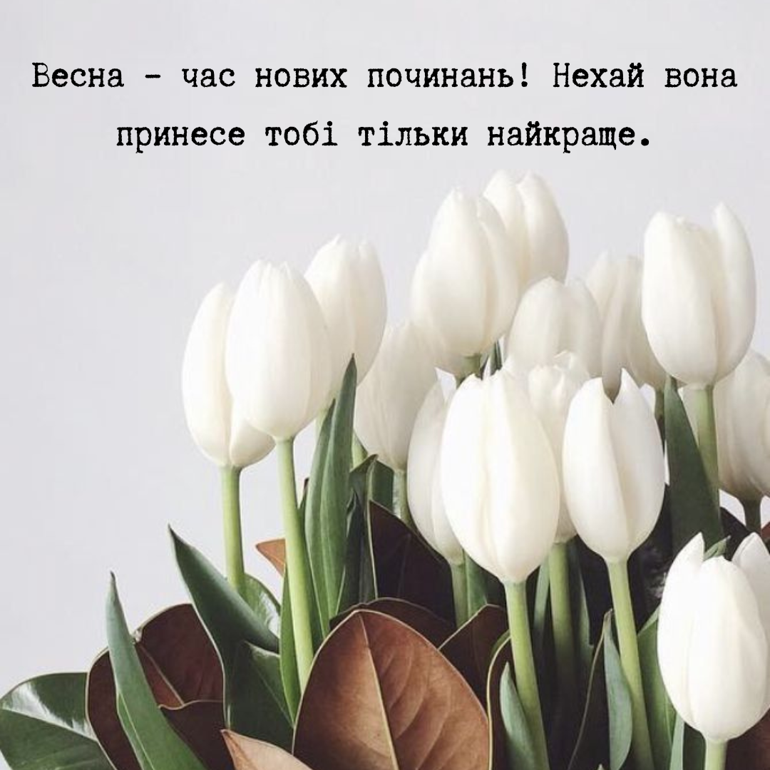 Вдохновляющие поздравления с весной и мотивирующие открытки - 692102 Вдохновляющие поздравления с весной и мотивирующие открытки - фото 692102