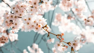 Вдохновляющие поздравления с весной и мотивирующие открытки