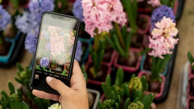 Весна уже здесь - цитаты для твоего вдохновения