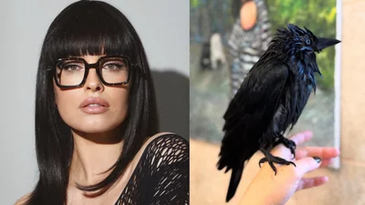 Даша Астаф'єва показала ворону, яка завжди слідує за блогеркою