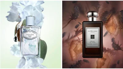 Для шанувальниць затишних парфумів: аромати з цією нотою зараз у топі