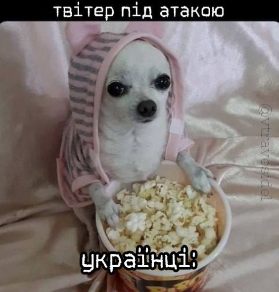 Мемы про Илона Маска, который обвинил украинцев в кибератаке на X - 695937 Мемы про Илона Маска, который обвинил украинцев в кибератаке на X - фото 695937