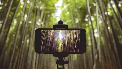 Цікаві факти про "пандемію", яку людство підхопило ще у XIX столітті