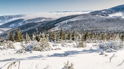 Зима посеред весни: в західних областях України випав сніг – неймовірні фото