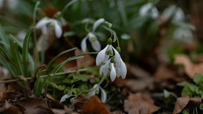 Благовещение: как погода 7 апреля повлияет на твой год