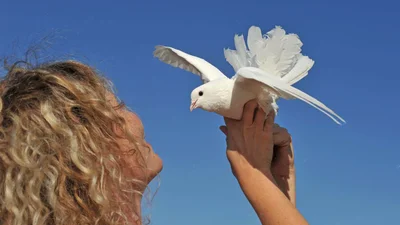 Поздравления с Благовещением Пресвятой Богородицы 2025 - стихи и открытки для особого праздника