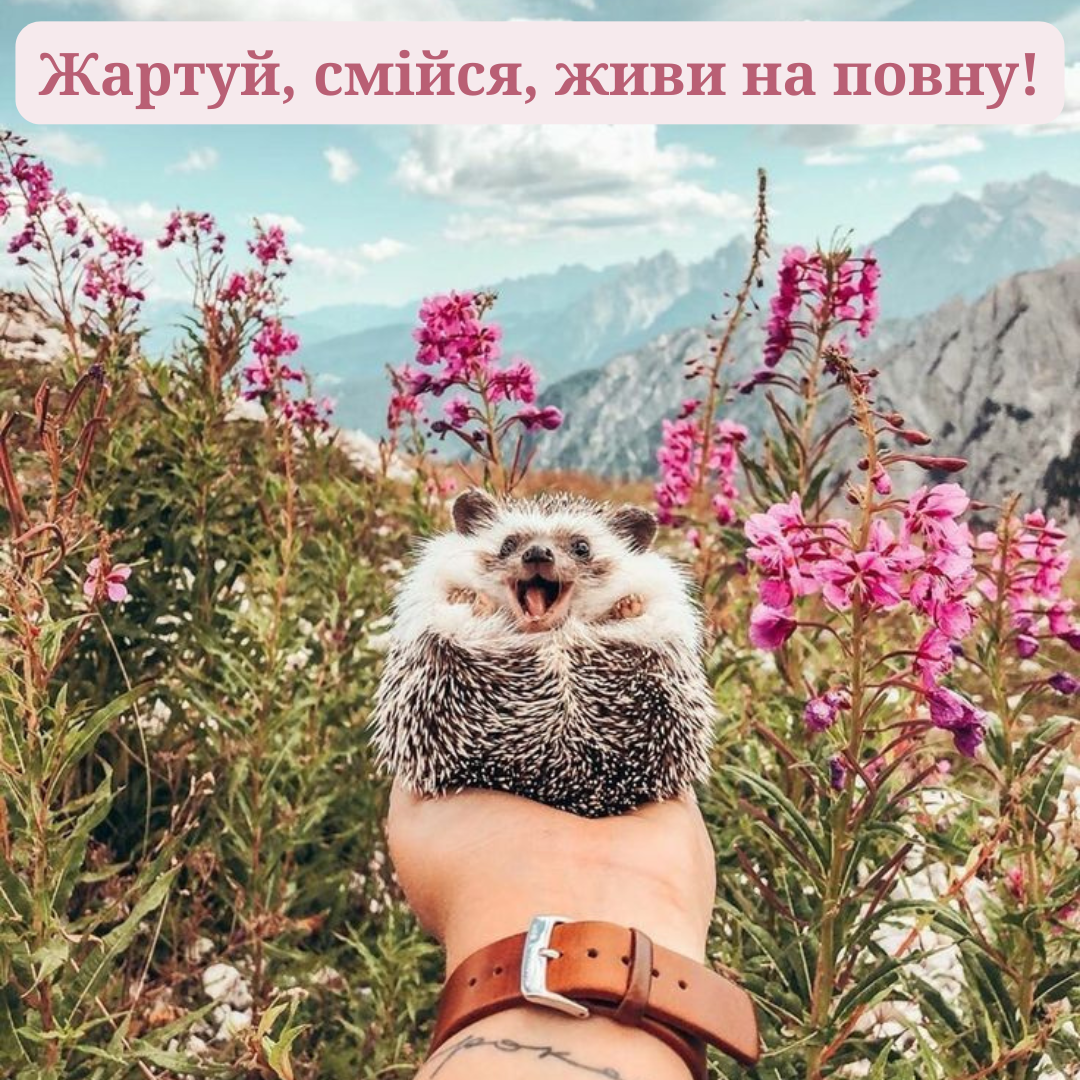 Картинки 1 квітня 2025 - 700445 Картинки 1 квітня 2025 - фото 700445