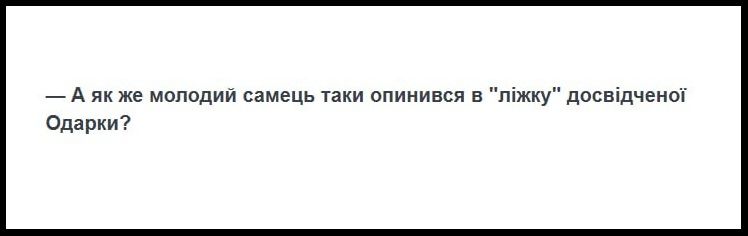 Мемы про аиста Грицько, которого предала Одарка - фото 701266