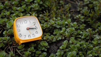 Как перевод часов на летнее время может разрушить нашу жизнь