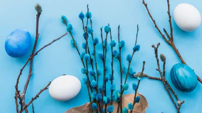 Забобони у Вербну неділю 2025 - що не варто робити в цей день