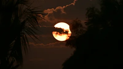 Ось 4 знаки зодіаку, на які позитивно вплине сонячне затемнення 29 березня