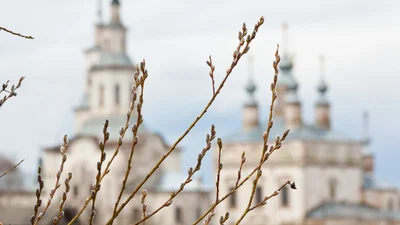 Гарні вітання з Вербною неділею та гарні листівки