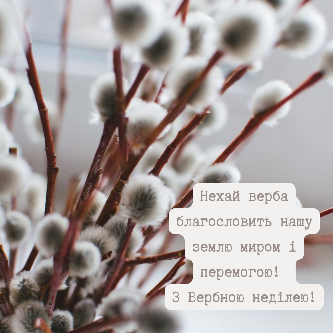 Вербна неділя 2025 вітання - 702828 Вербна неділя 2025 вітання - фото 702828