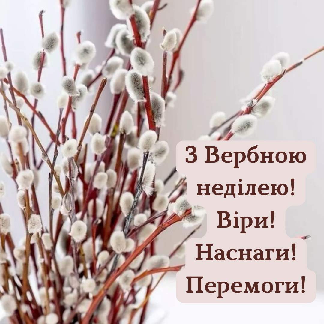 Картинки з привітаннями на Вербну неділю - 702830 Картинки з привітаннями на Вербну неділю - фото 702830
