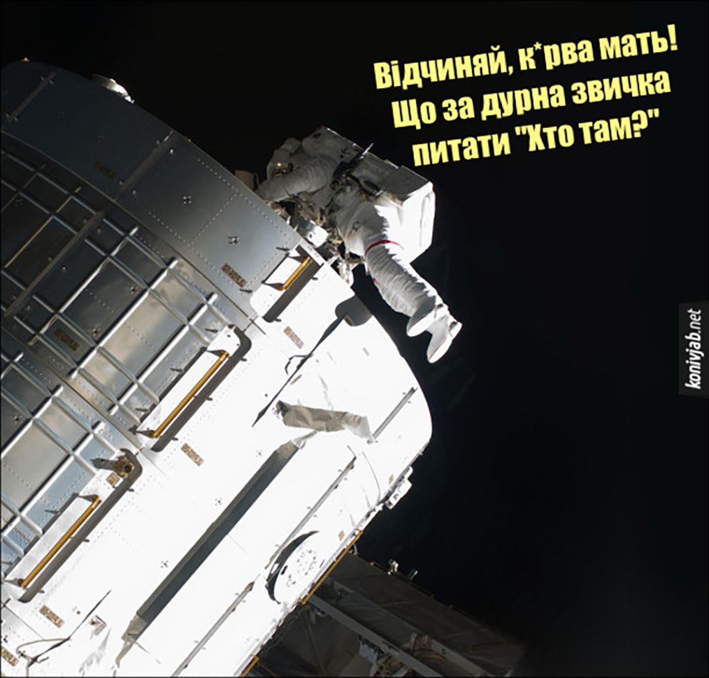 NASA рекомендує: переглядати ці меми перед польотом у космос - фото 703293