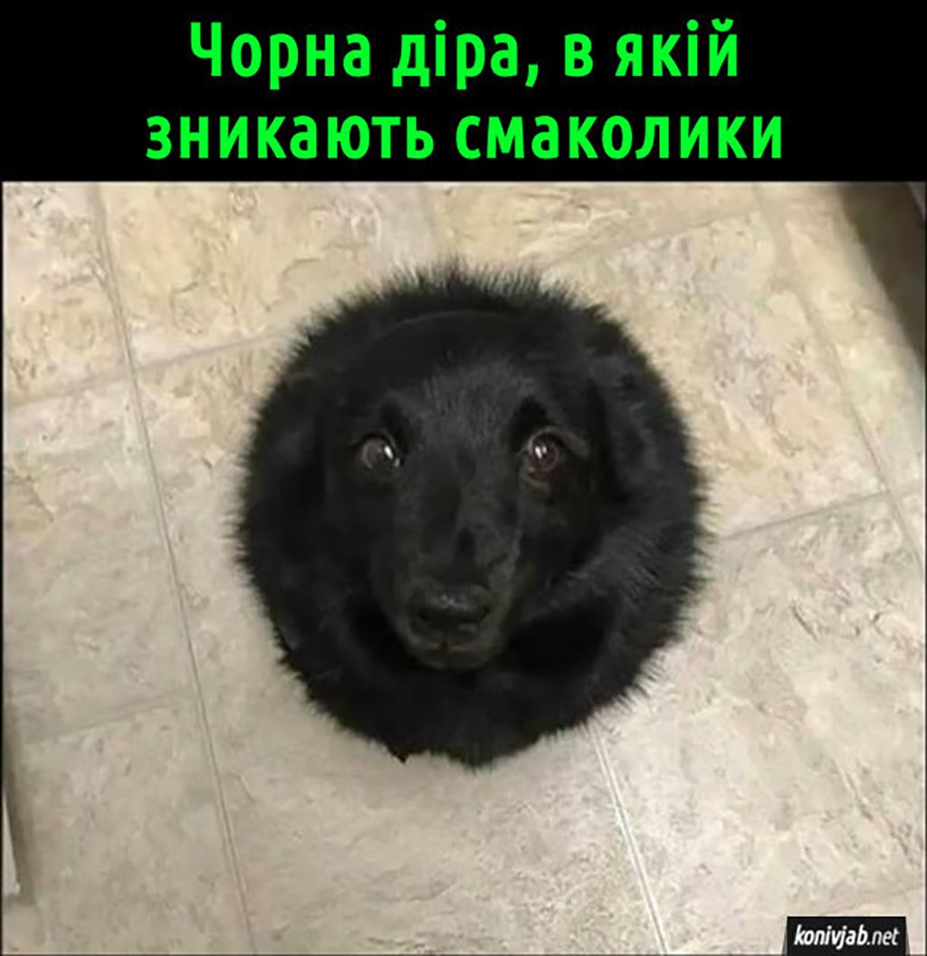 NASA рекомендує: переглядати ці меми перед польотом у космос - фото 703294