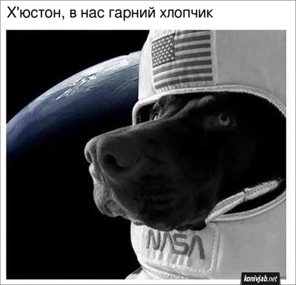 NASA рекомендує: переглядати ці меми перед польотом у космос - фото 703299