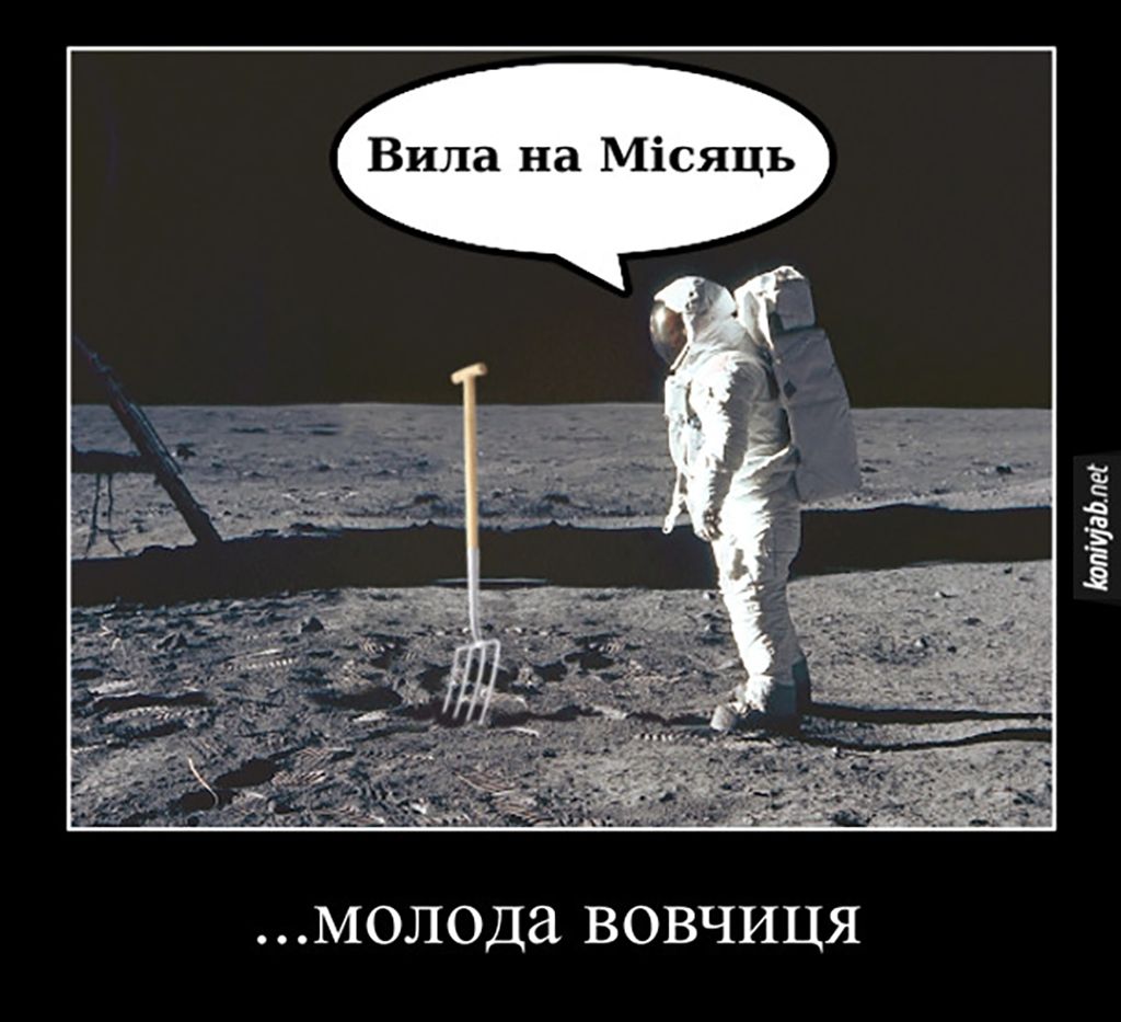NASA рекомендує: переглядати ці меми перед польотом у космос - фото 703316