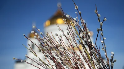 Короткие поздравления с Вербным воскресеньем 2025 - милые смс, открытки на украинском и картинки для родных