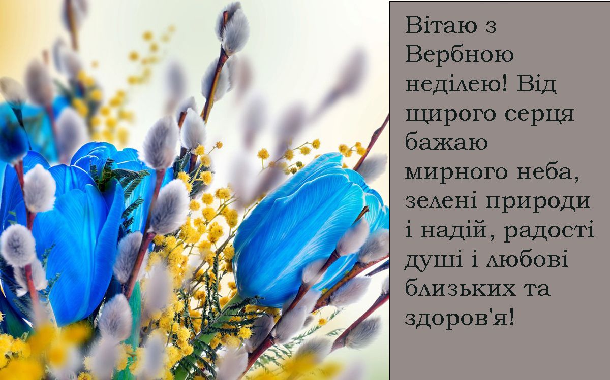 Короткие поздравления с Вербным воскресеньем 2025 - милые смс, открытки на украинском и картинки для родных - 703479 Короткие поздравления с Вербным воскресеньем 2025 - милые смс, открытки на украинском и картинки для родных - фото 703479