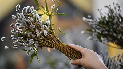 Вербное воскресенье 2025 - красивые поздравления в стихах и открытки к празднику, которые стоит отправить