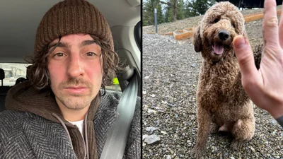 Вова Дантес рассмешил серией фото своей собаки в Карпатах