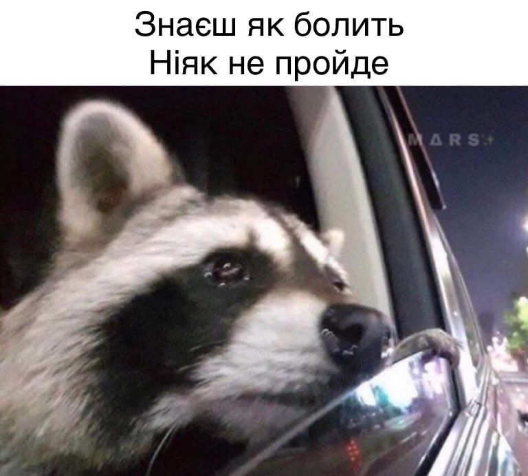 Жизненные мемы о ситуациях, которые всем знакомы - фото 705528