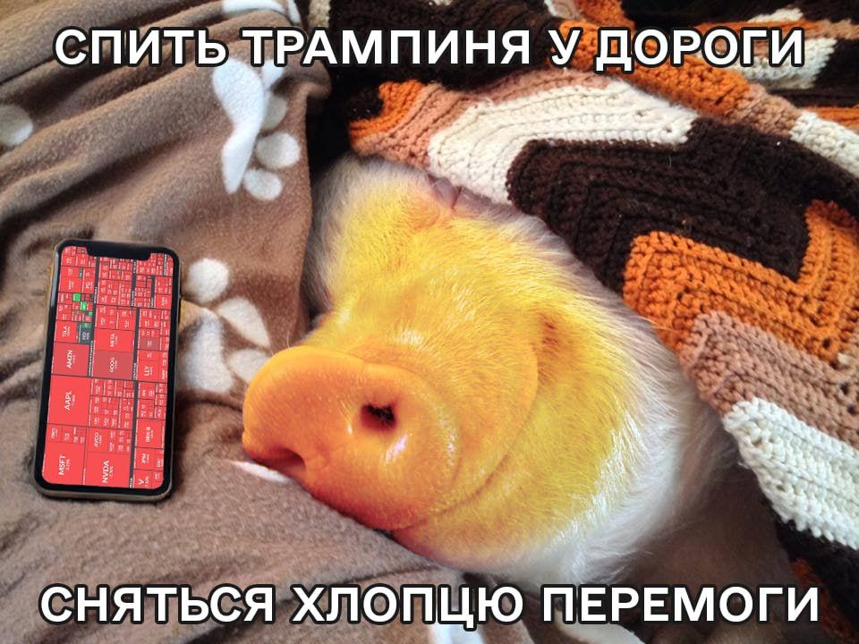 Мемы про экономический кризис, который спровоцировали пошлины Трампа - 706028 Мемы про экономический кризис, который спровоцировали пошлины Трампа - фото 706028