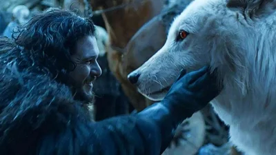 Ученые воссоздали лютоволков, которые жили 10 тысяч лет назад - фанаты "Игры престолов" в восторге от фото