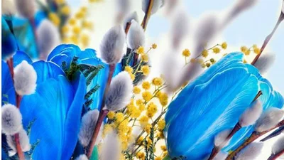 Патріотичні привітання з Вербною неділею: добірка натхненних привітань зі святом